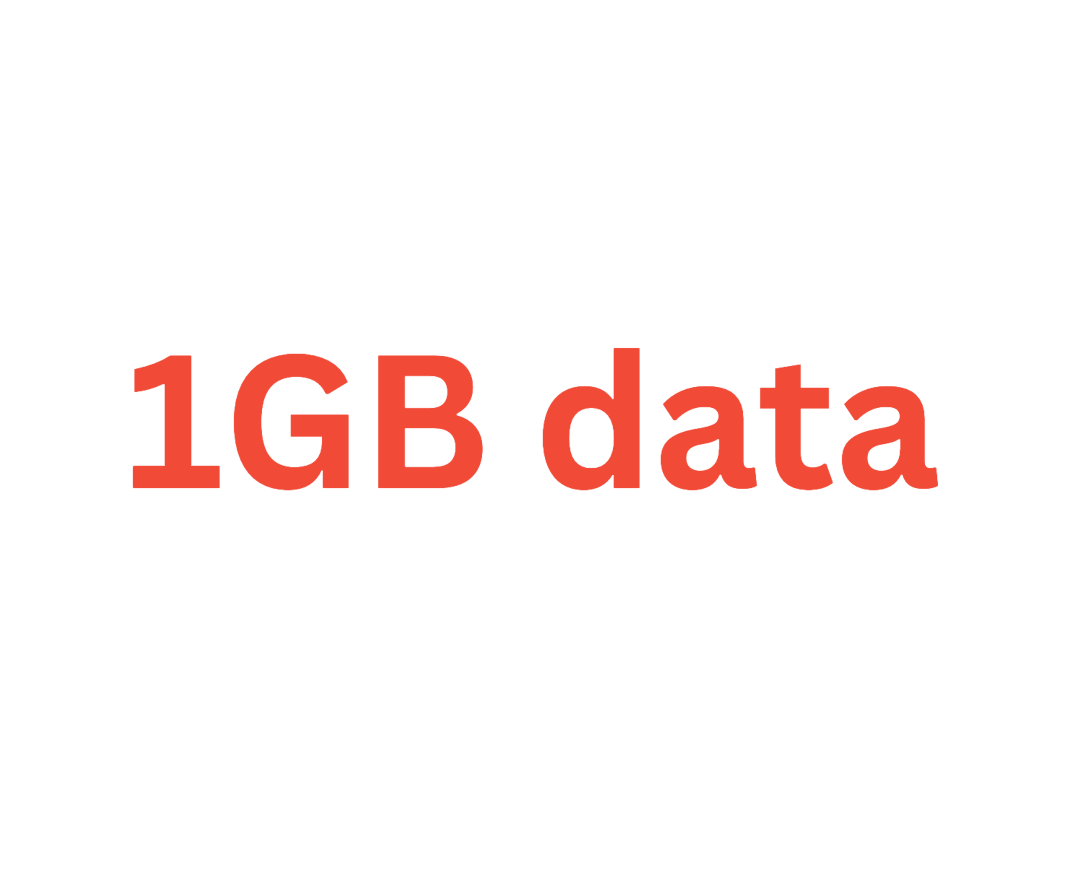 1GB Data - 1 Month
